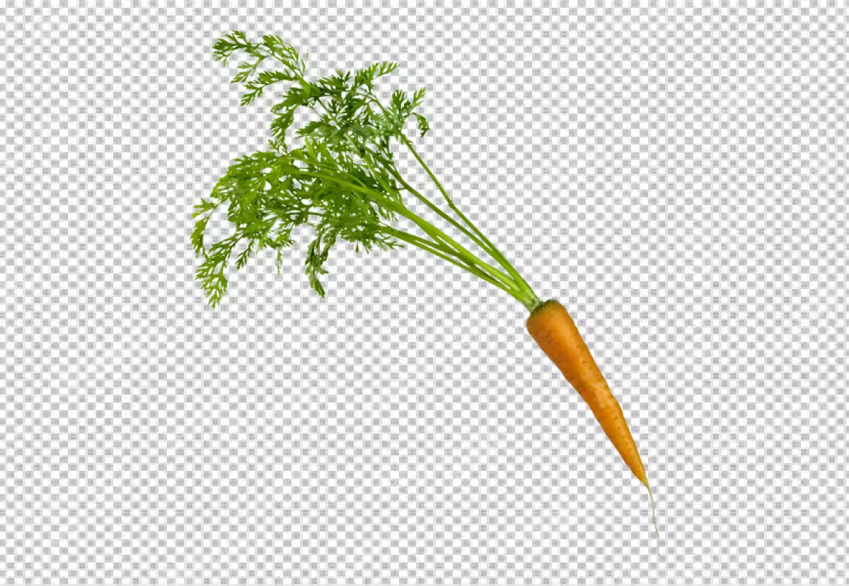 Free Premium PNG Fresh carrot vegetable with leaves isolated on transparent  background cutout