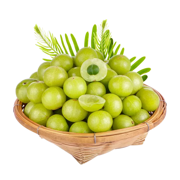 Free Premium PNG Fresh Gooseberry PNG Download, High-Quality Graphics for Your Designs