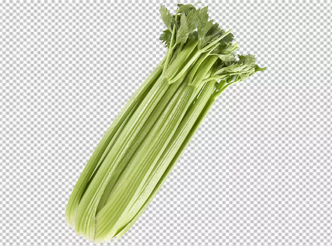 Free Premium PNG Fresh green celery isolated transparent background 