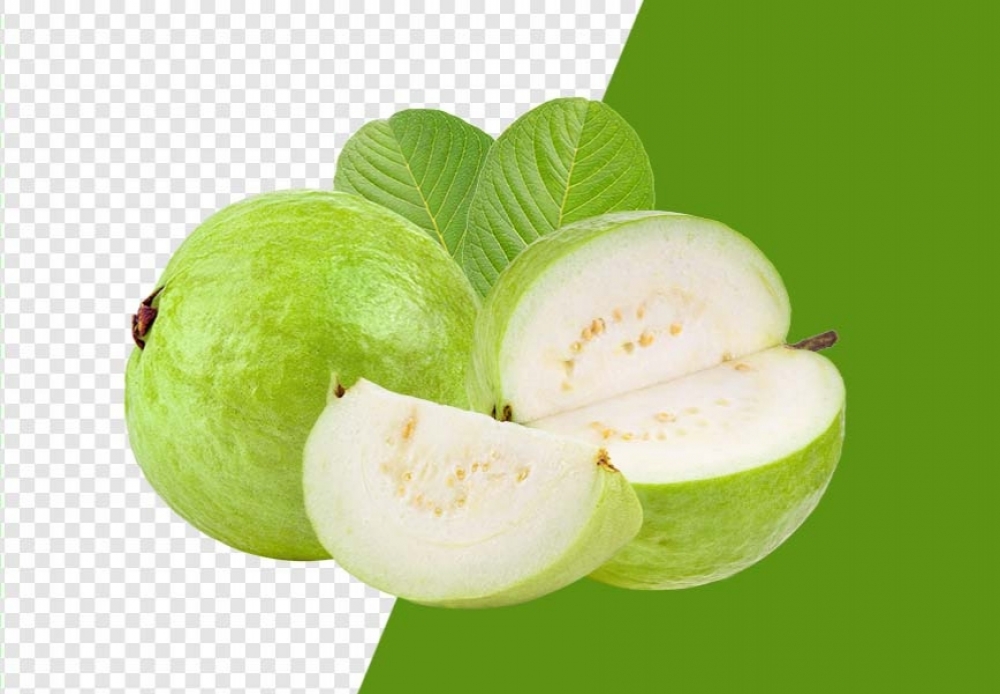 Free Premium PNG Fresh Guava Fruit with Leaf PNG Images, Download High-Quality Pictures for Your Creative Projects