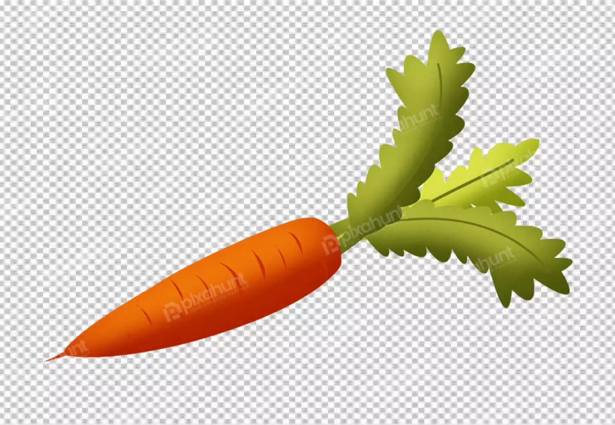 Free Premium PNG Fresh organic carrot transparent background 