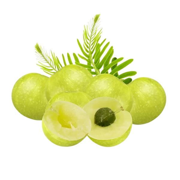Free Premium PNG Fresh premium Gooseberry fruit PNG Download, High-Quality Graphics for Your Designs