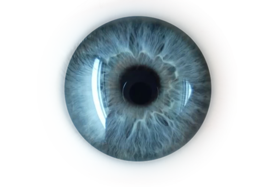 Free Premium PNG Front view human eye