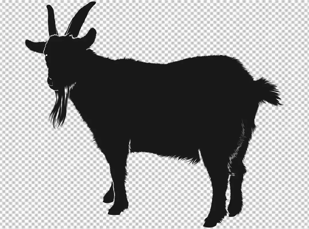 Free Premium PNG Goat black shadow transparent background 