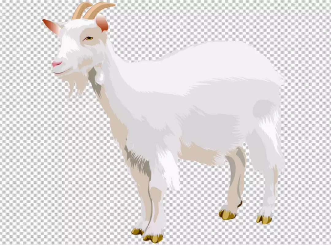 Free Premium PNG Goat white color, arts, transparent background 