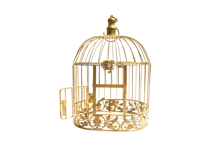 Free Premium PNG Gold Bird Cage on  transparent background