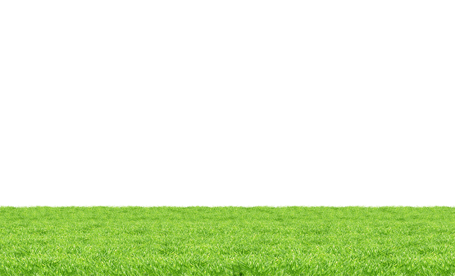 Free Premium PNG Grass Surface