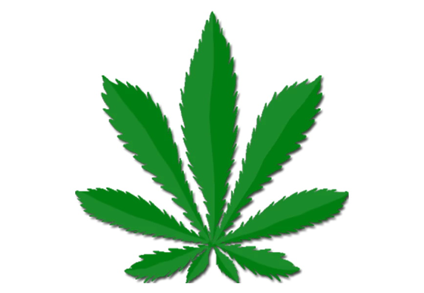 Free Premium PNG Green hemp on a transparent background isolate 