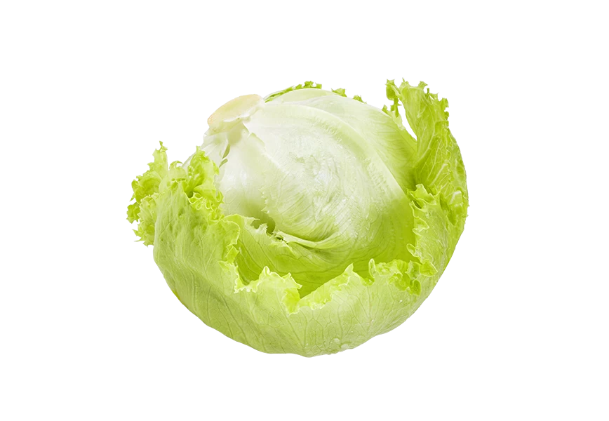 Free Premium PNG Green premium fresh and Nutritious Cabbage PNG Download: High-Quality Graphics for Your Designs