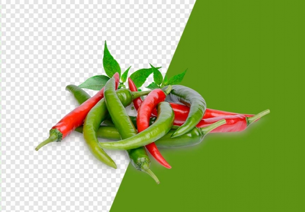 Free Premium PNG Green red chilies PNG Images, Download High-Quality Pictures for Your Creative Projects