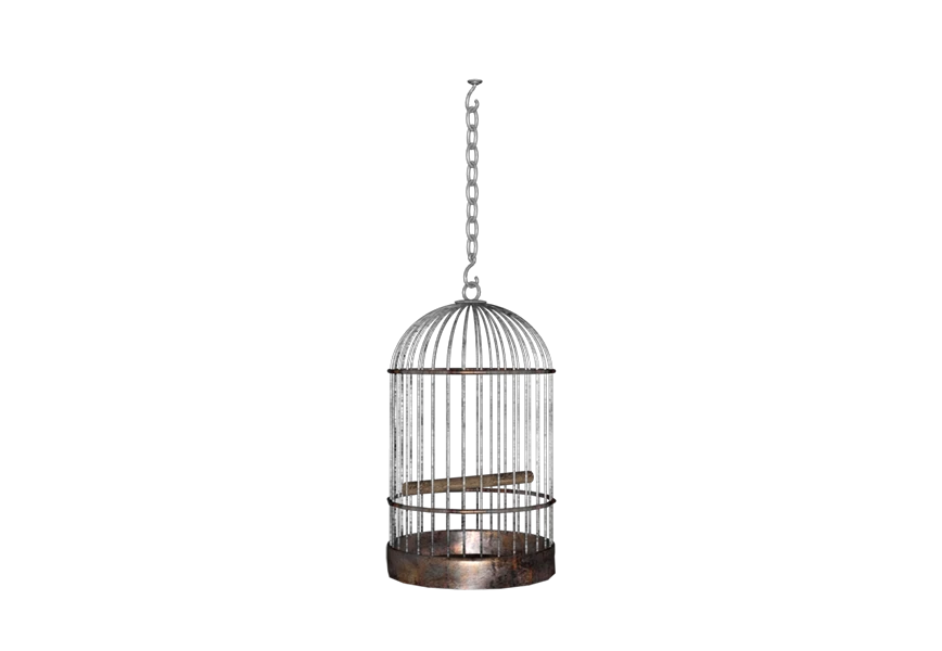 Free Premium PNG here is a bird cage with a bird inside transparent background