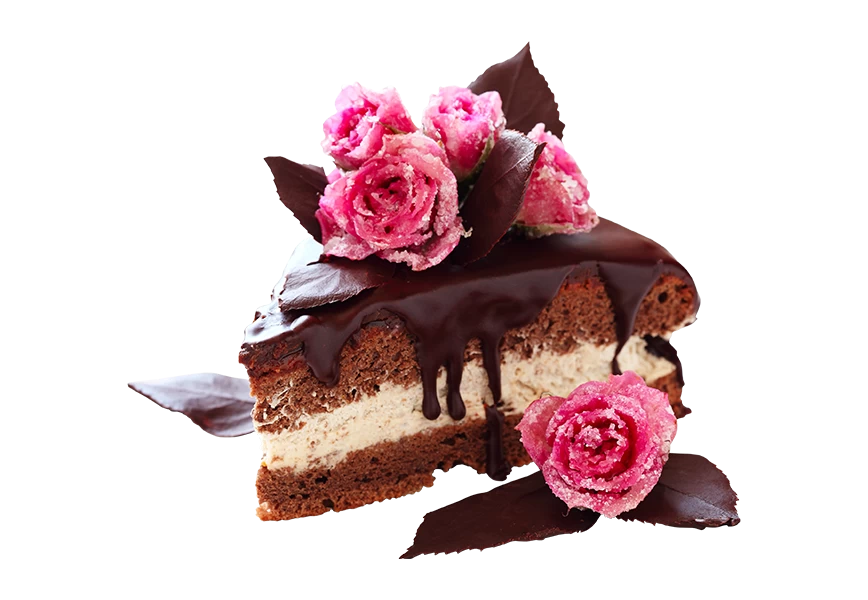 Free Premium PNG Illustration white background delicious slice red velvet cake snapshot transparent background 