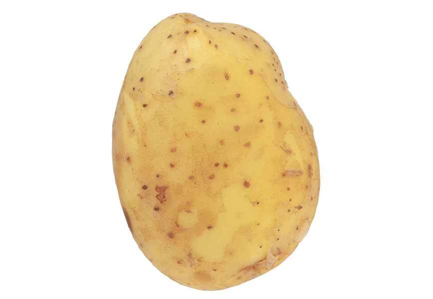 Free Premium PNG Isolated editable potato