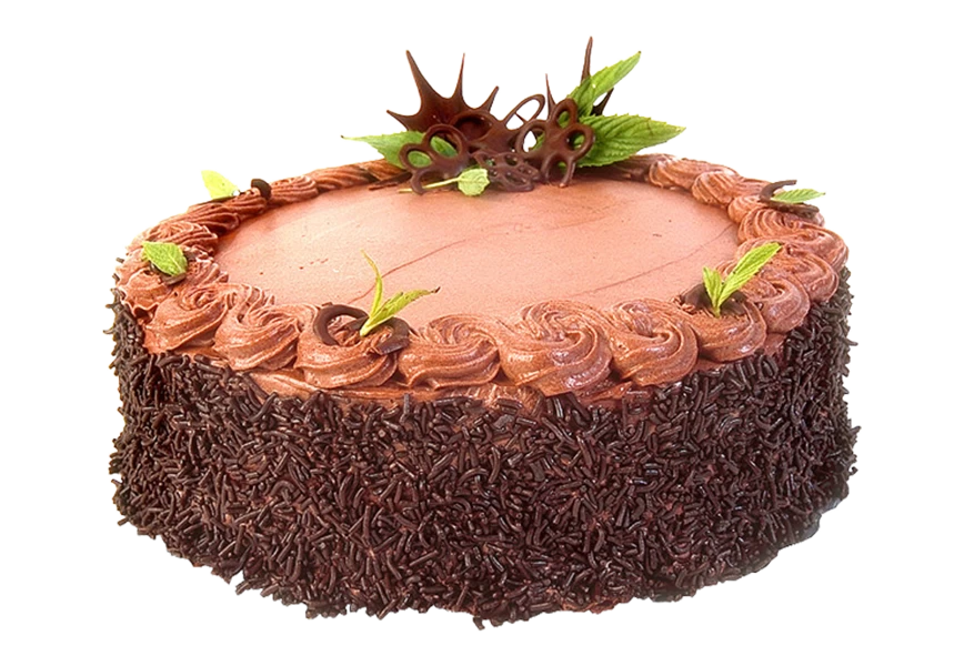 Free Premium PNG lose-up of chocolate cake against transparen background 
