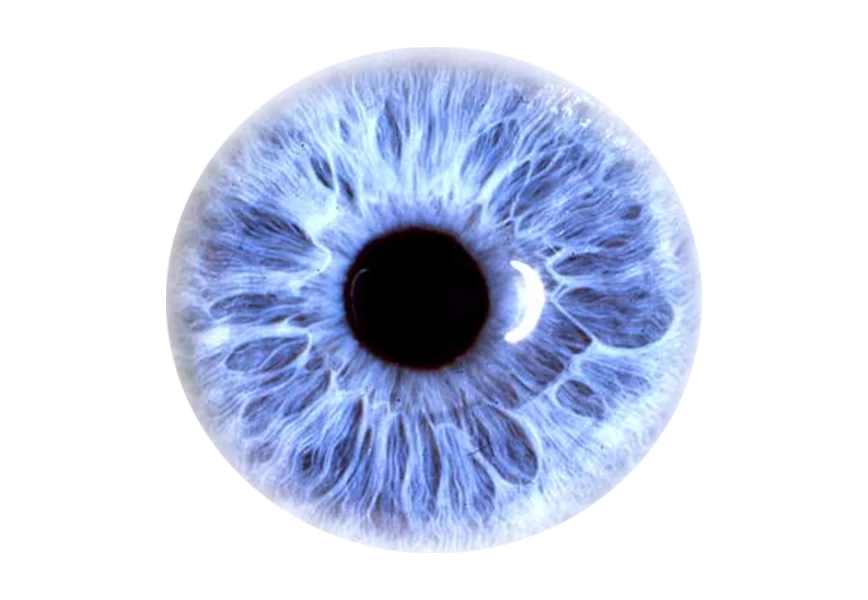 Free Premium PNG lose-up photograph (macro photo) of the iris of a blue eye, ideal for texture