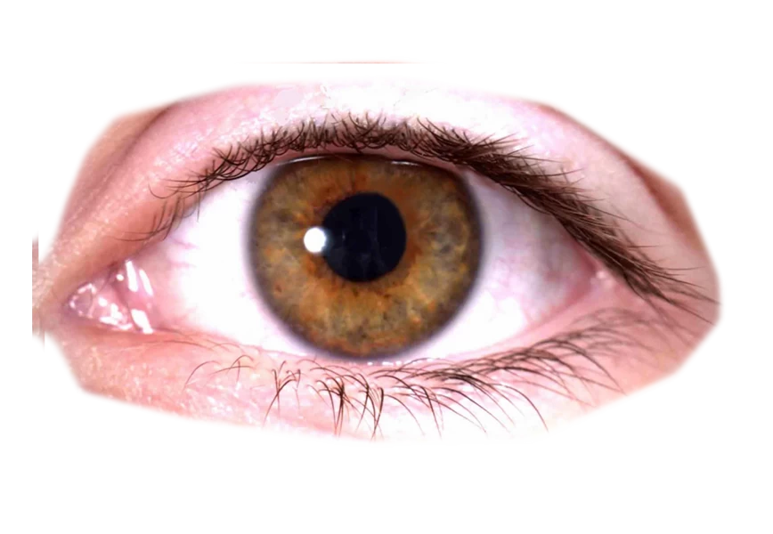 Free Premium PNG Macro photo of a beautiful brown-green eye