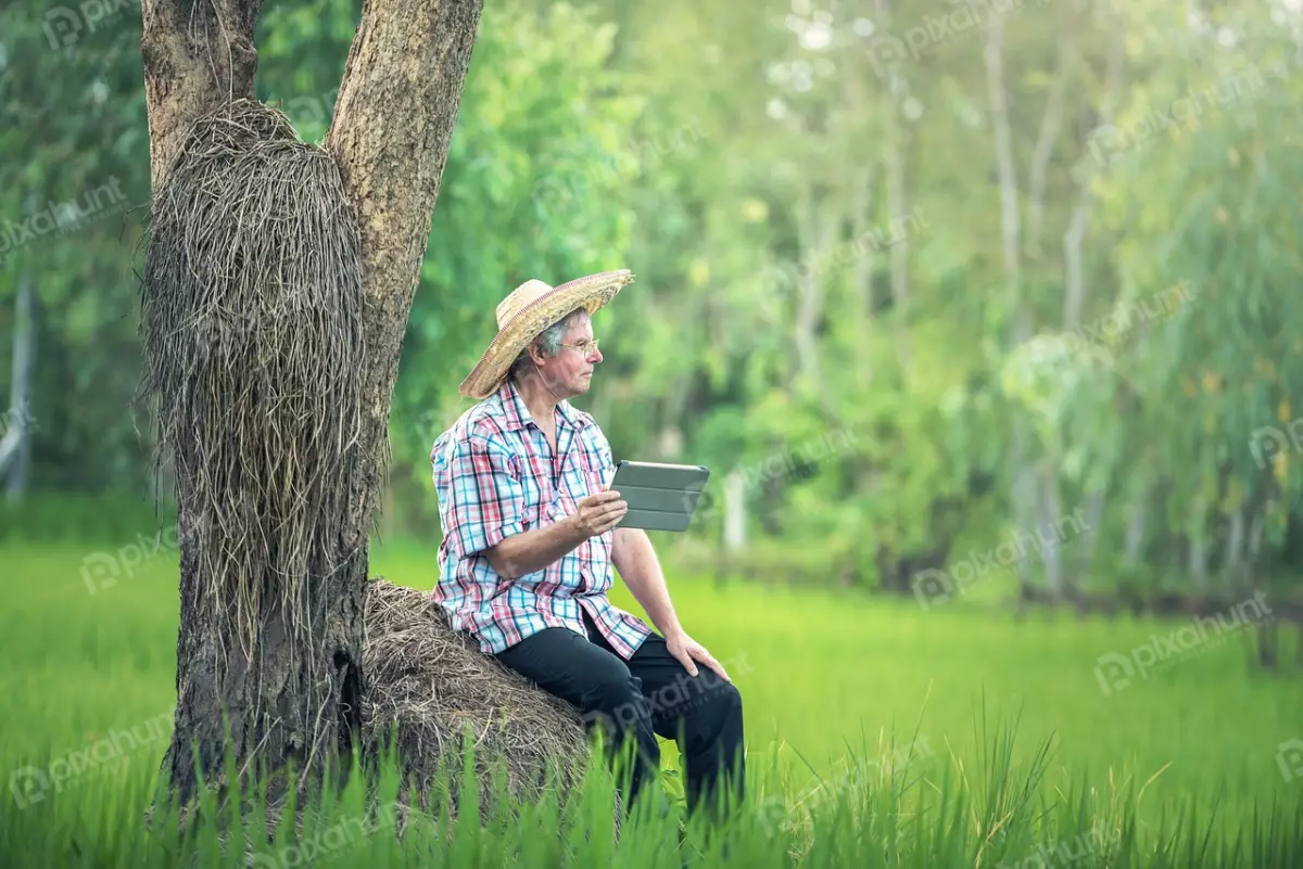 Free Premium Stock Photos Man sitting on a rock in a field, wearing a straw hat and holding a tablet and looking at the tablet and smiling