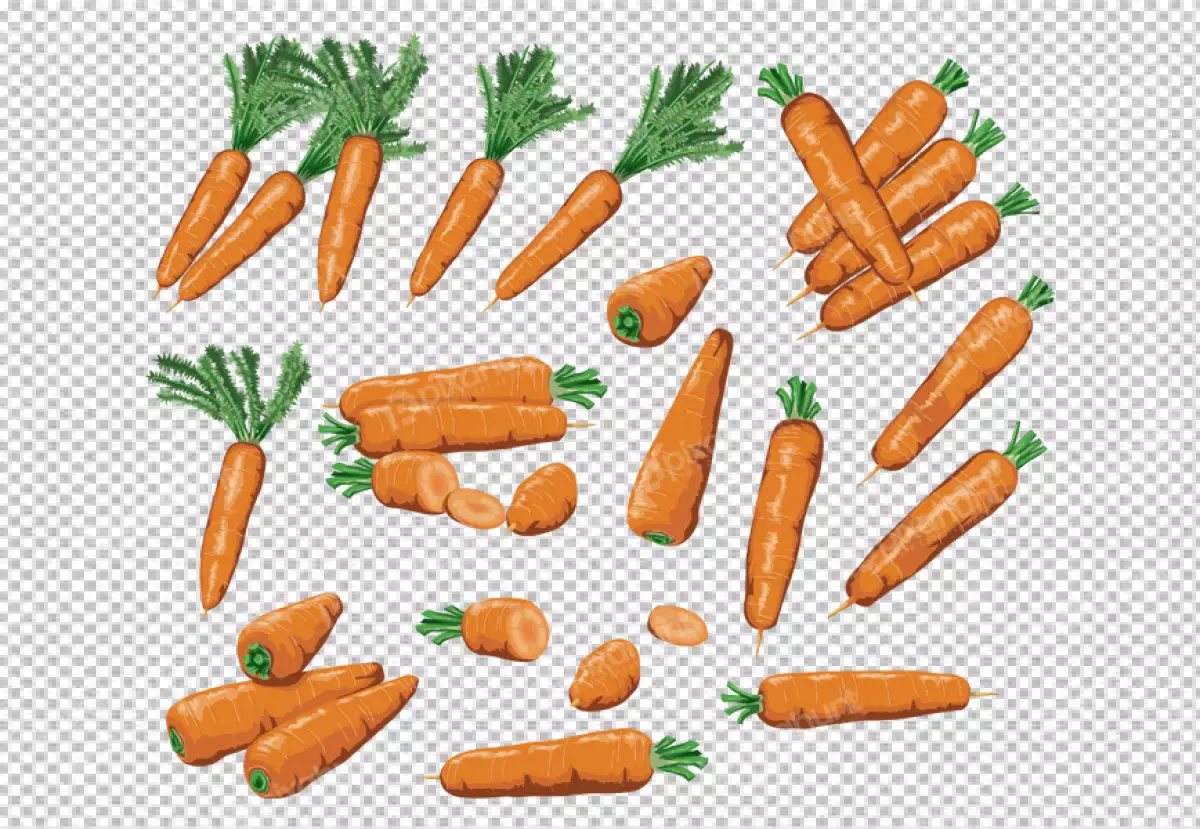 Free Premium PNG Many  carrot is shown with a picture of a carrot on it