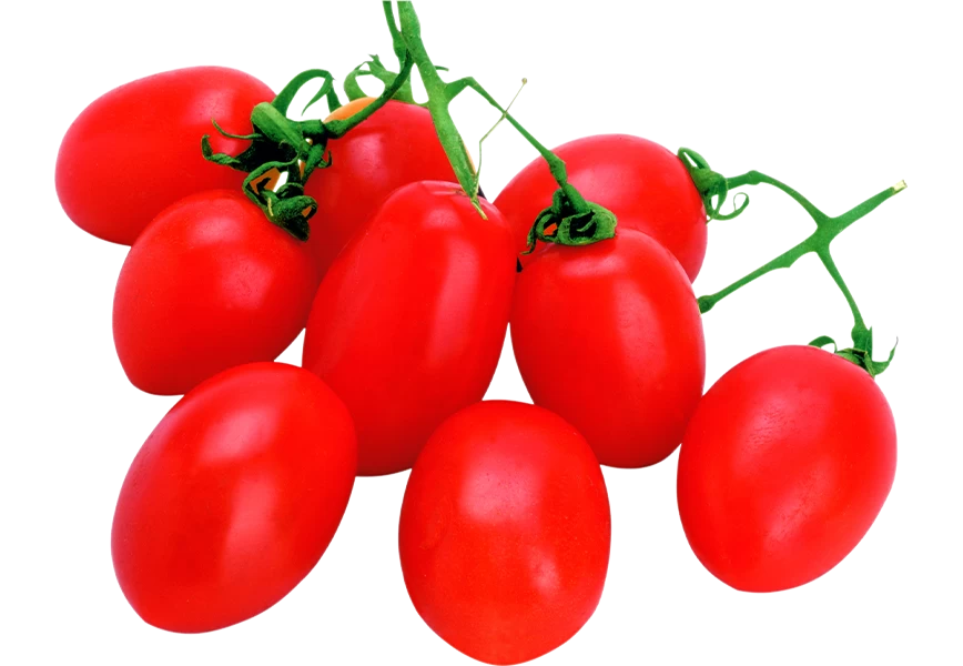 Free Premium PNG Many Natural tomatoes isolated