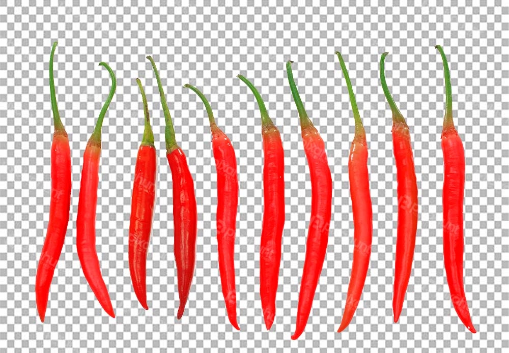Free Premium PNG Many red chili in one line | Vegetable Cartoon