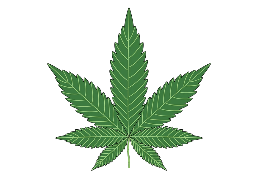 Free Premium PNG Marijuana leaf on black isolated  transparent background png
