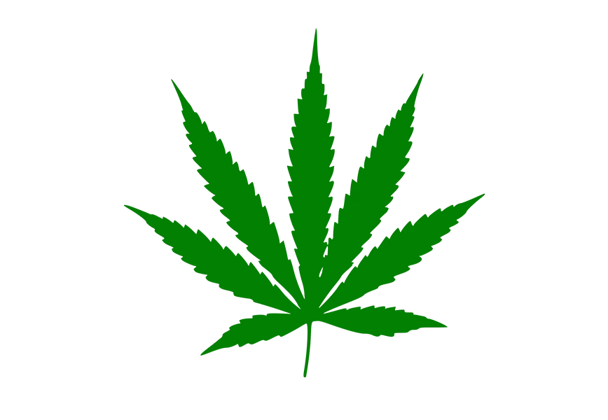 Free Premium PNG Marijuana or Cannabis leaf  png