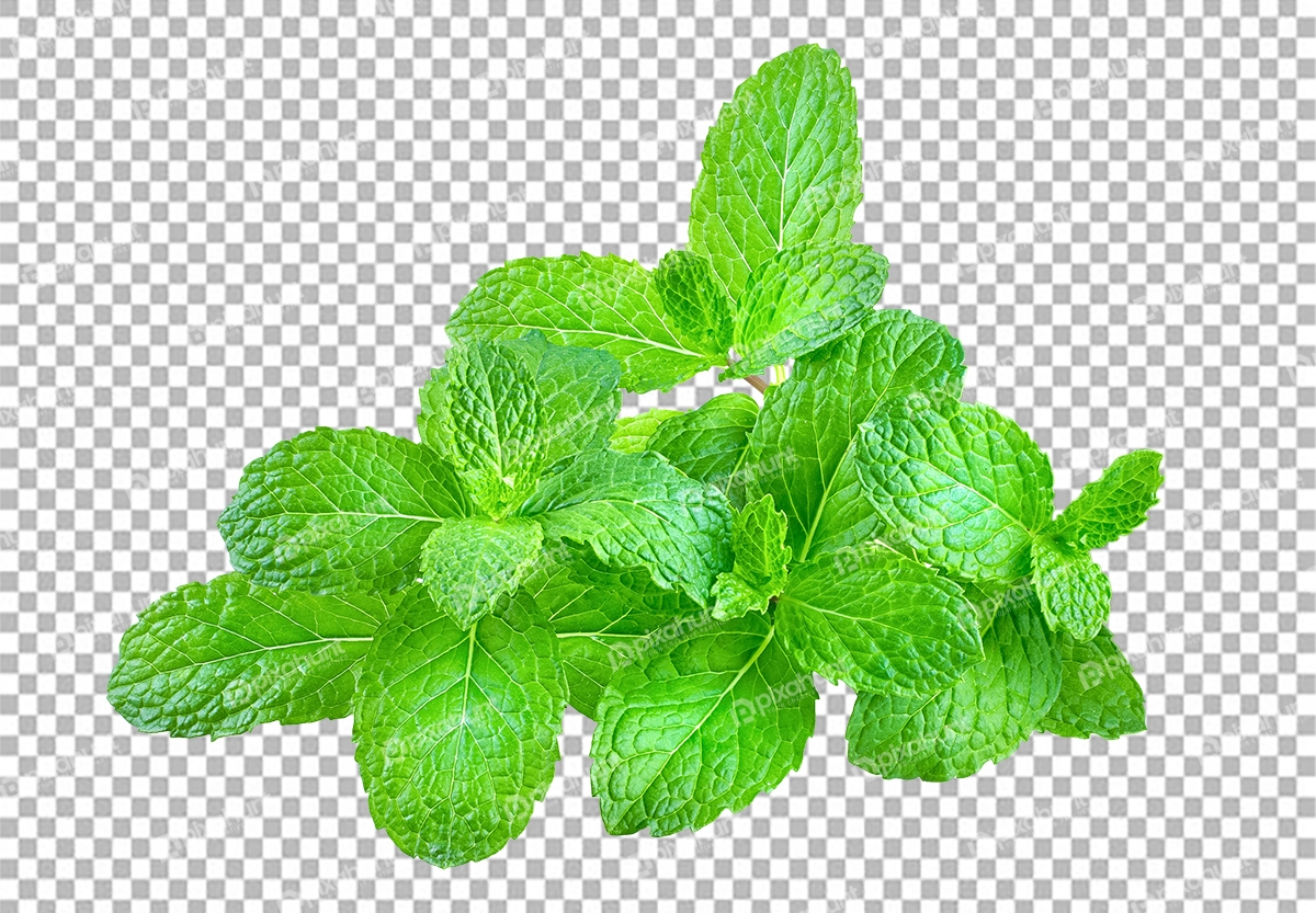 Free Premium PNG Mint Leaves Isolated on a Transparent Background