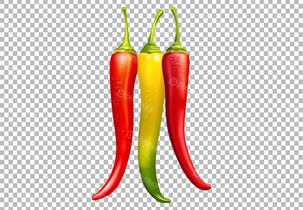 Free Premium PNG Multi colored chili | Fresh, colorful chili peppers arranged in row