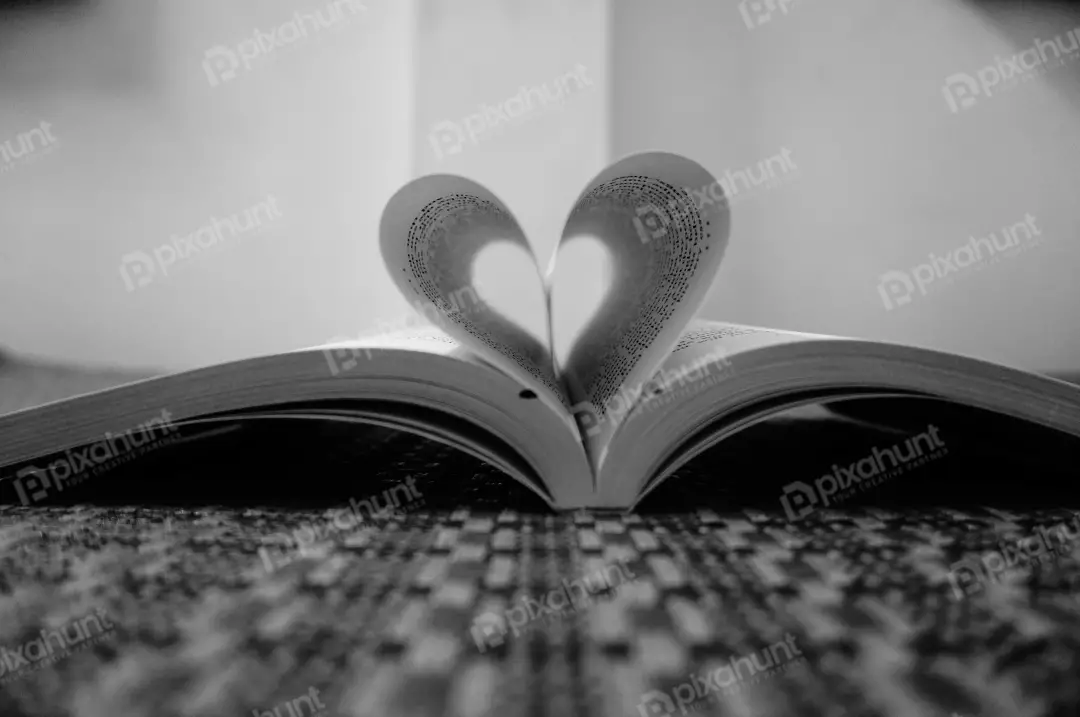 Free Premium Stock Photos Open book with shape heart
