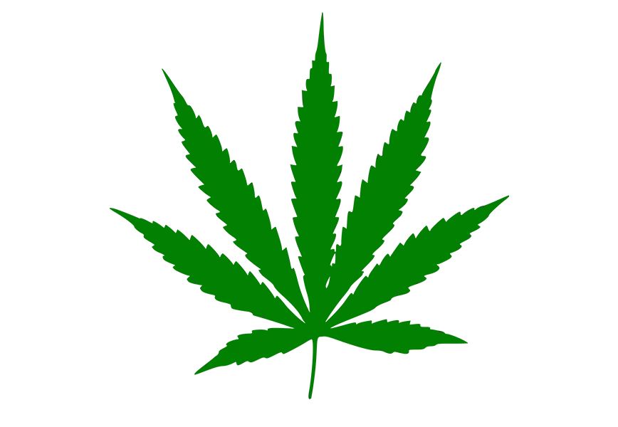 Free Premium PNG Organic cannabis product arrangement transparent background isolate 