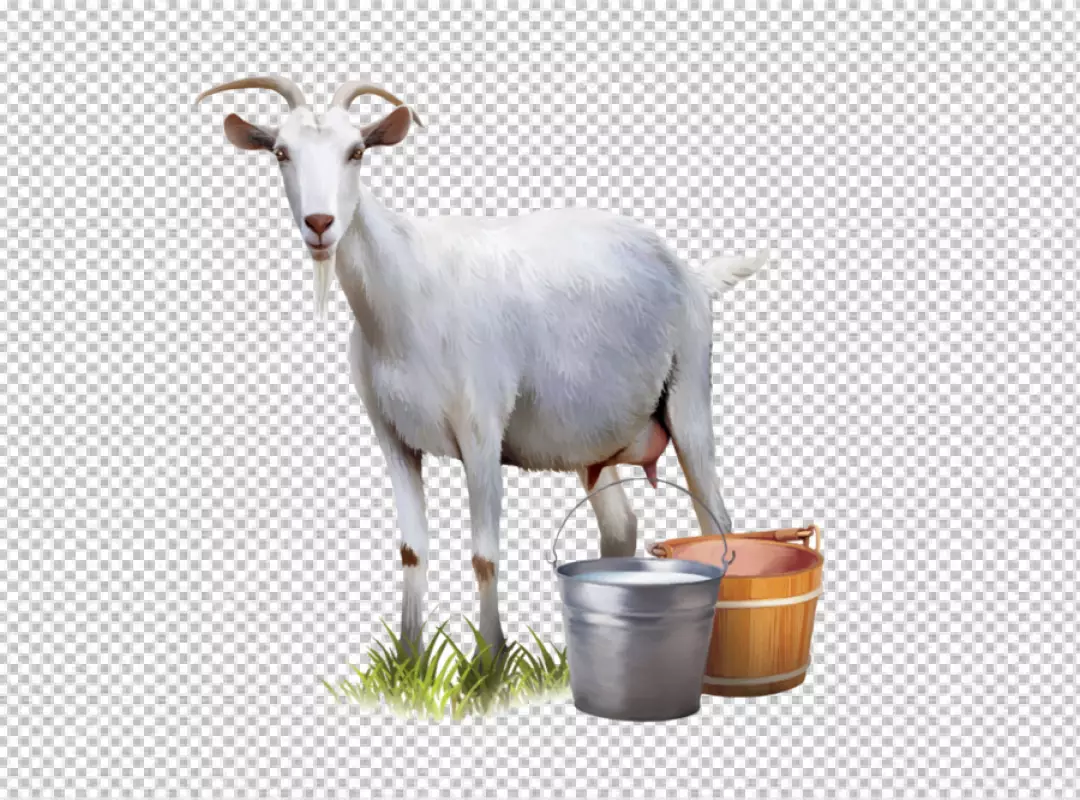 Free Premium PNG Photorealistic flock of goats in png