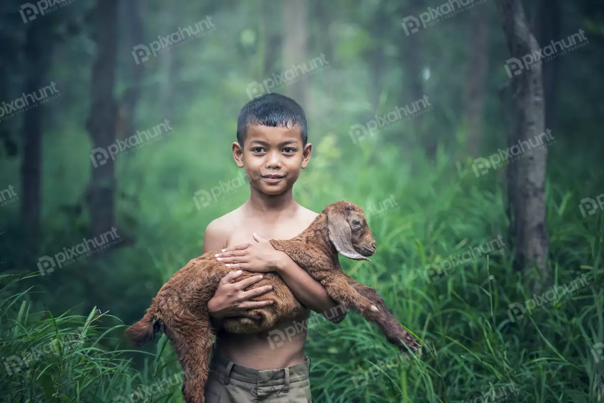 Free Premium Stock Photos Portrait of a young boy holding a goat in his arms