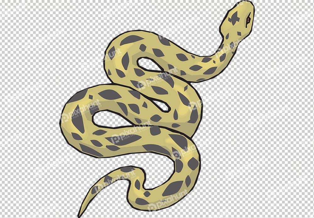 Free Premium PNG Realistic hand drawn snake background