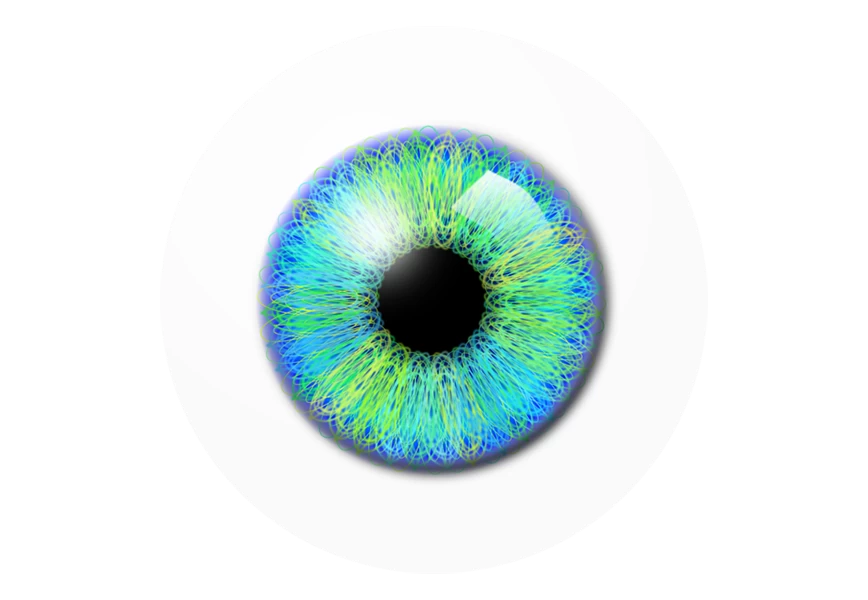 Free Premium PNG Realistic human eye transparent background