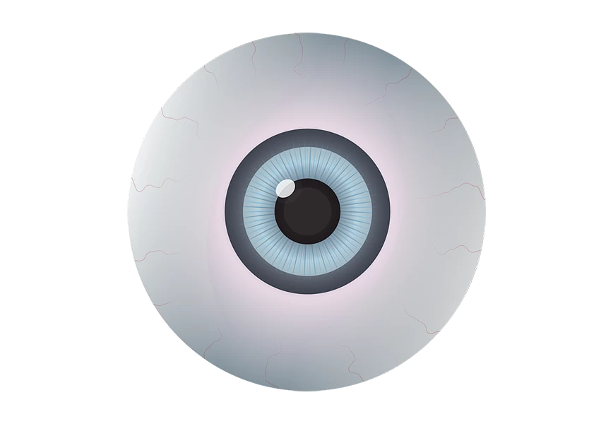 Free Premium PNG Realistic human eye with retina in the foreground