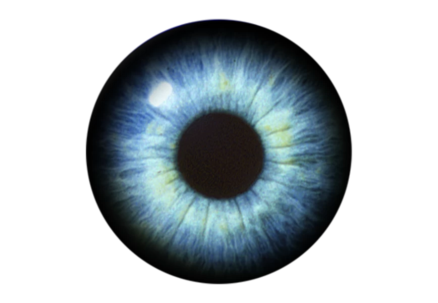 Free Premium PNG Realistic human eyeball isolated PNG