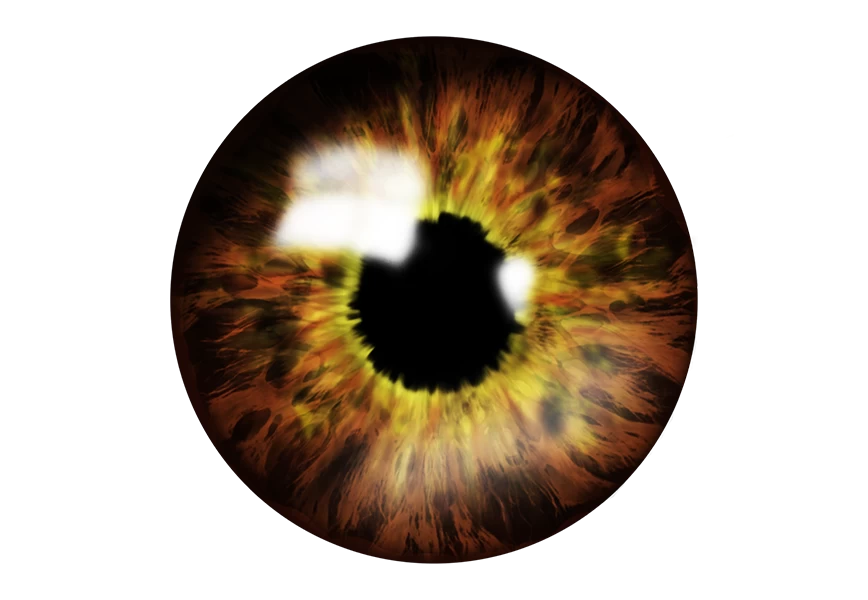 Free Premium PNG Realistic image of an eye Iris cornea retina with luminous flash Brown eye