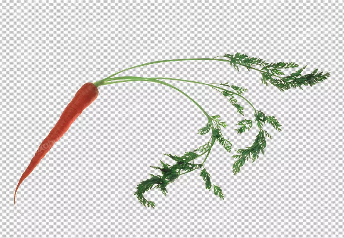 Free Premium PNG Ripe carrots in the bowl , on the transparent background 