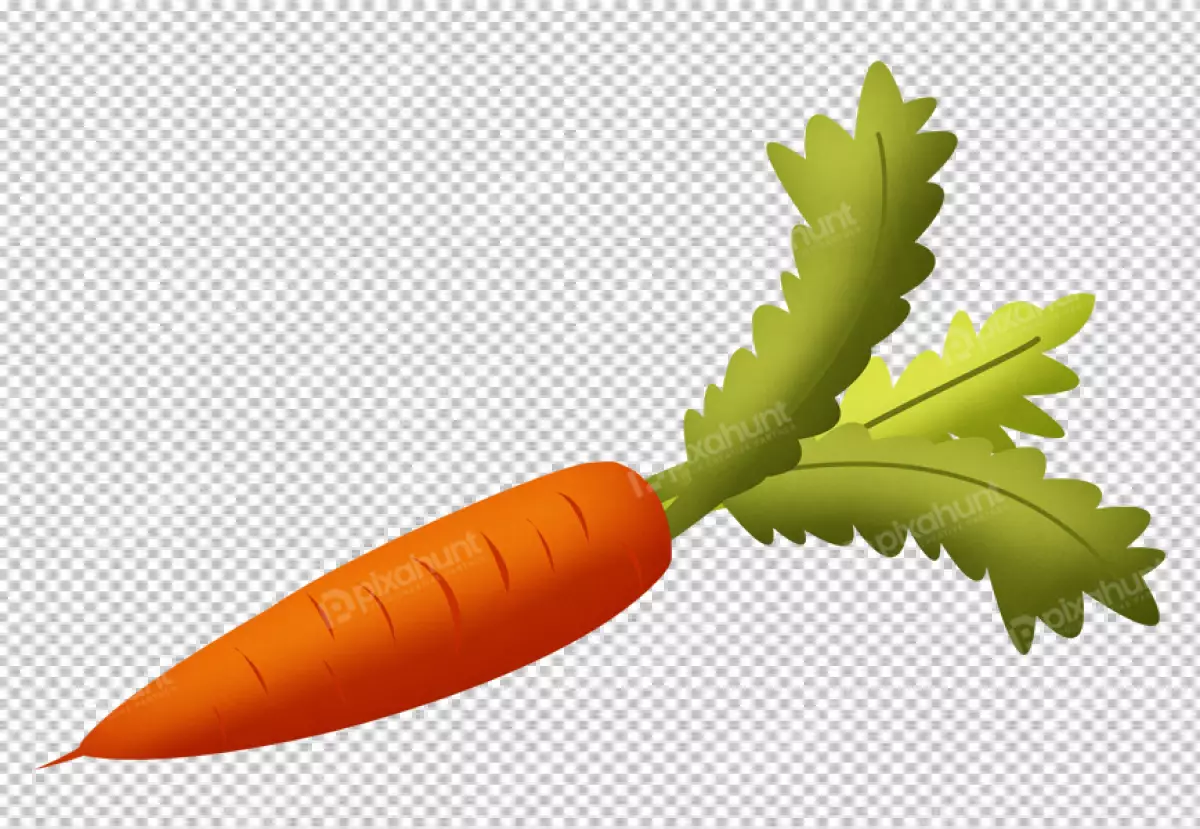 Free Premium PNG Ripe organic carrots , on the transpaernt  surface.