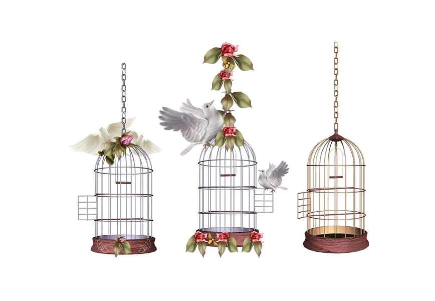 Free Premium PNG Set of empty closed canary birdcage png