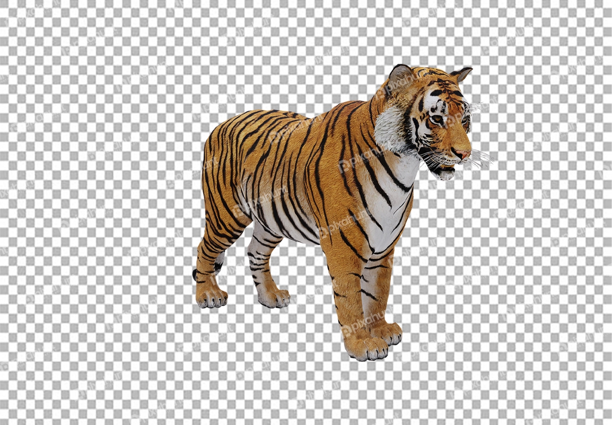 Free Premium PNG Side View of a Walking Tiger PNG