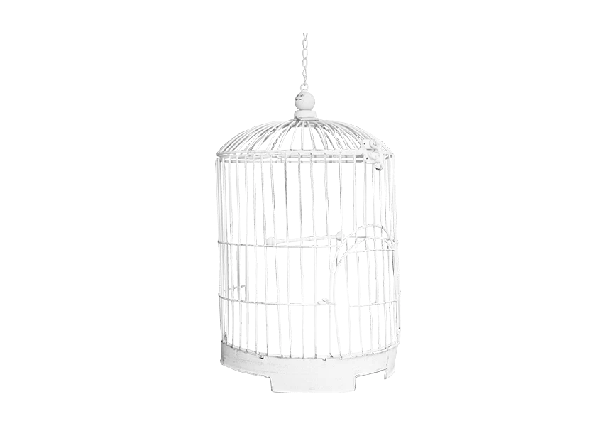 Free Premium PNG Silver bird cage. 3d illustration on  transparent background
