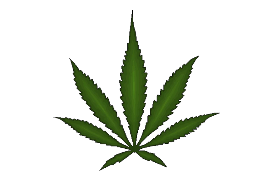 Free Premium PNG Single cannabis leaf on a transparent background