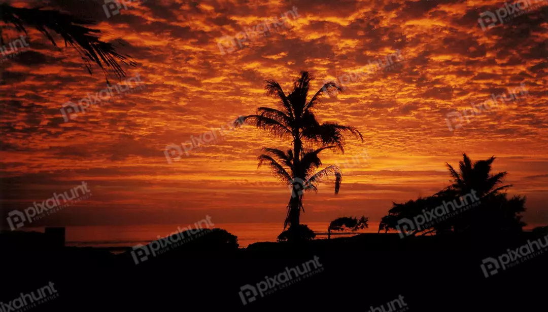 Free Premium Stock Photos Sunset is the time in the evening when the sun disappears out of sight from the sky