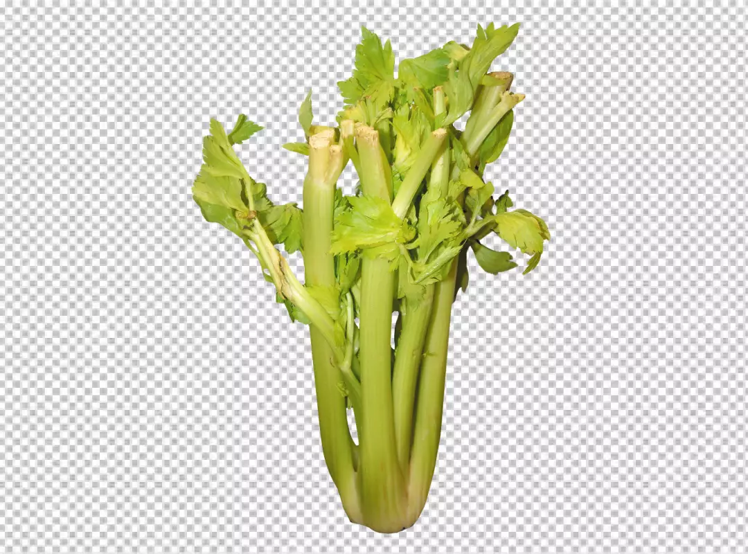Free Premium PNG There is a bunch of green vegetables on a white surface transparent background 