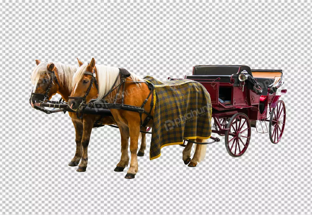Free Premium PNG There is a horse pulling a carriage