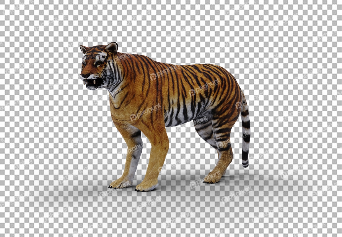 Free Premium PNG Tiger Side View on transparent