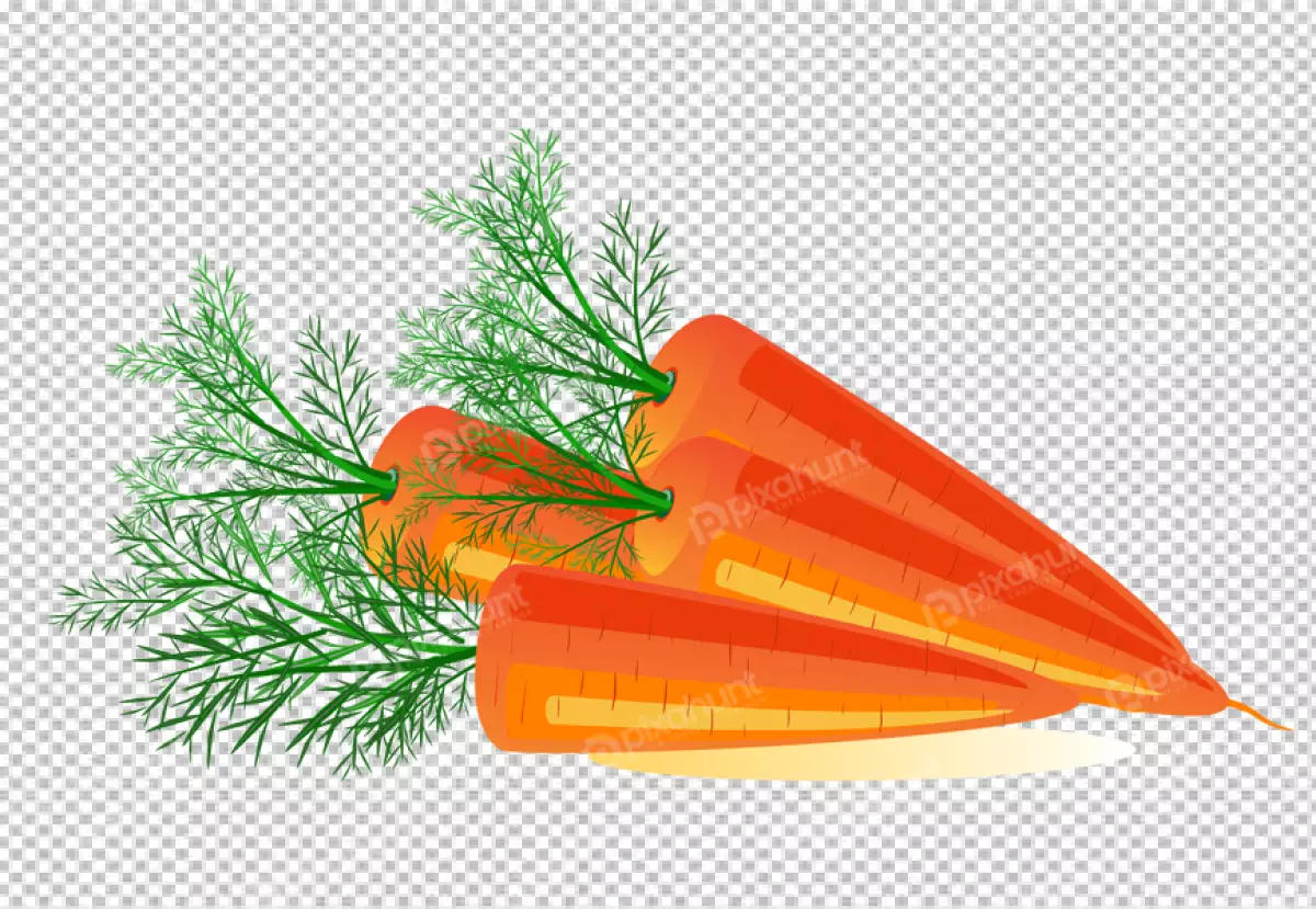 Free Premium PNG Top view arrangement of fresh carrots