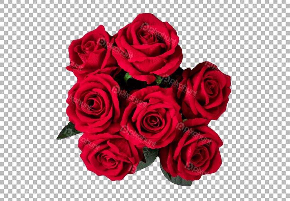 Free Premium PNG Valentine romance leaf passion affection | Valentines Day Rose