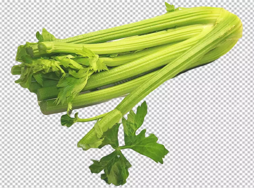 Free Premium PNG Vegan cuisine celery stems with leaf transparent background 